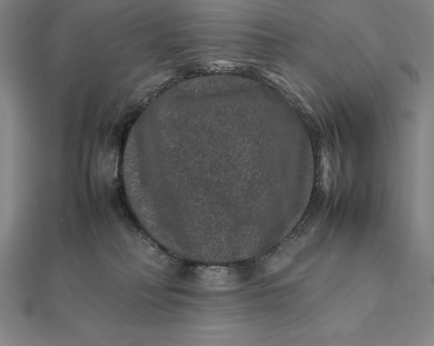 X0000112110230200908251218