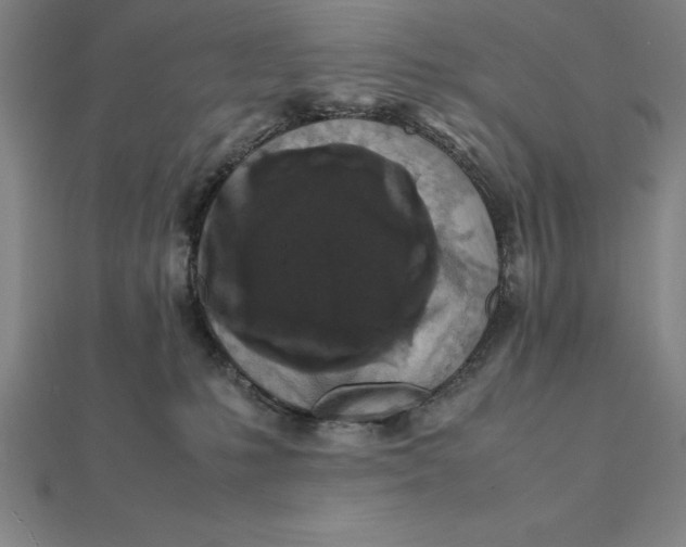 X0000112110231200908251218