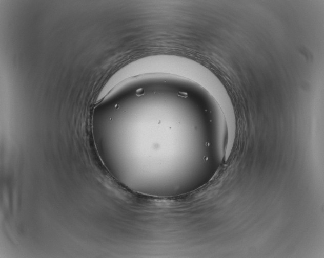 X0000112110233200908251218