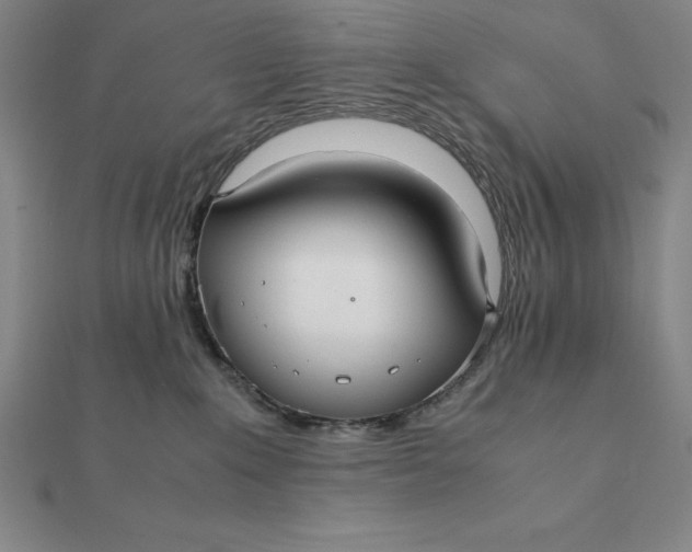 X0000112110235200908251218