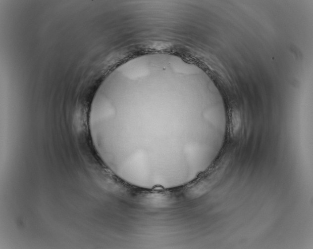 X0000112110236200908251218