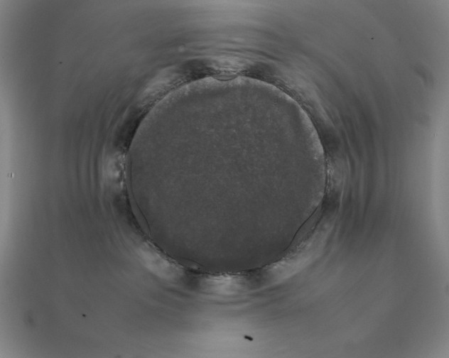 X0000112110237200908251218