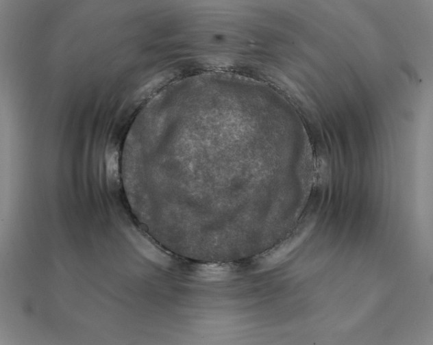 X0000112110238200908251218