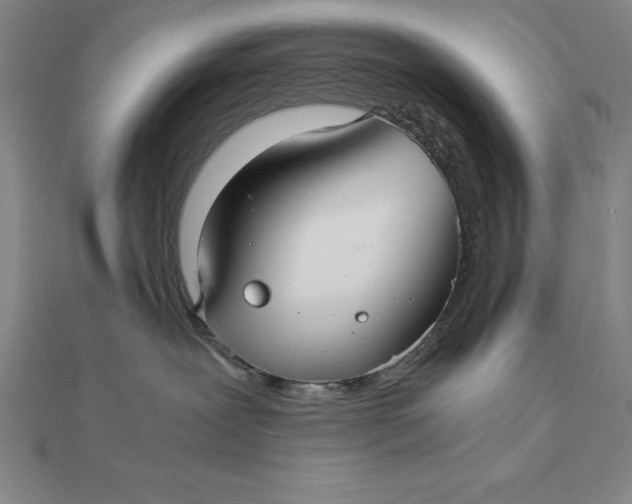 X0000112110239200908251218