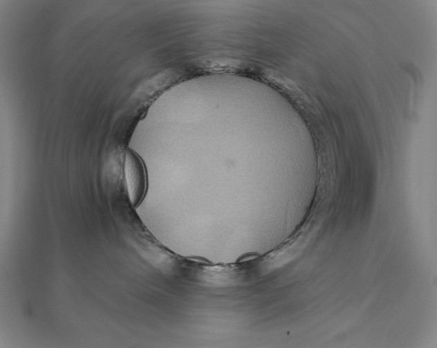 X0000112110240200908251218