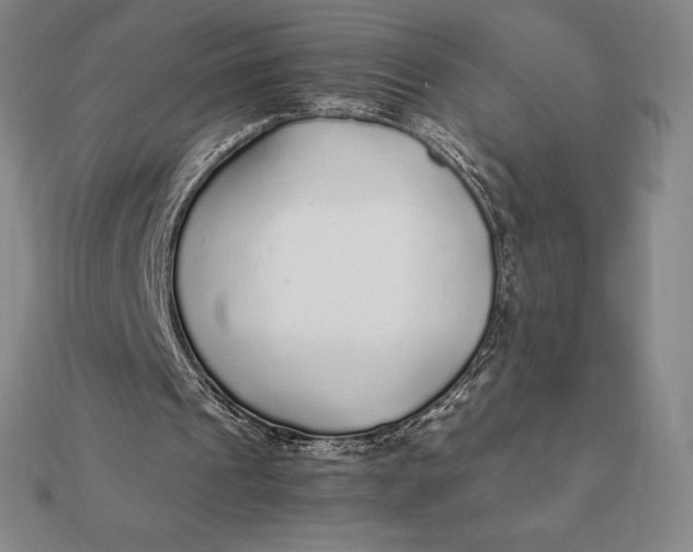 X0000112110241200908251217