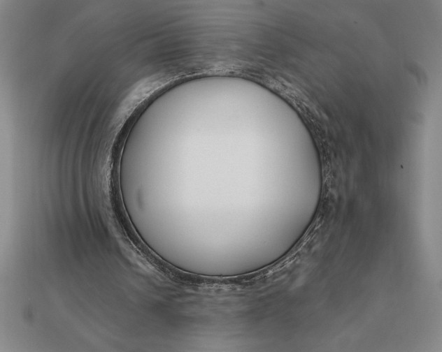 X0000112110242200908251217