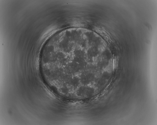 X0000112110243200908251217