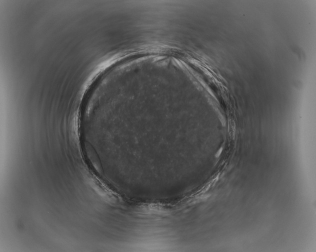 X0000112110244200908251217