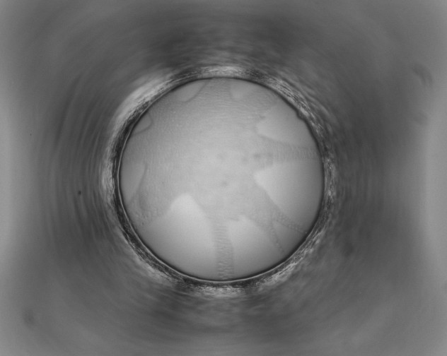 X0000112110245200908251217