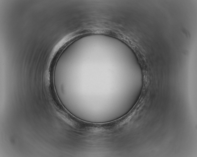 X0000112110246200908251217