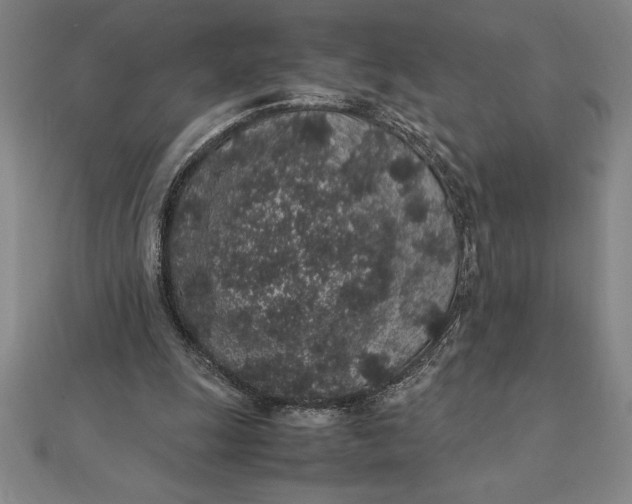 X0000112110247200908251217