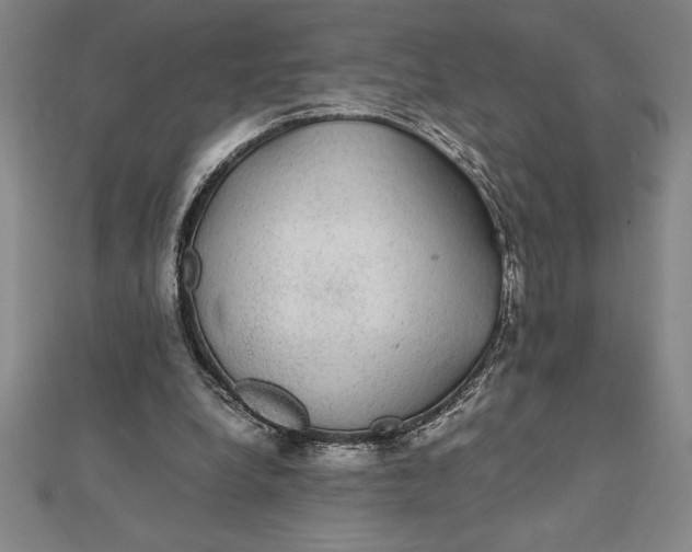 X0000112110248200908251217