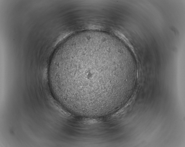 X0000112110249200908251217