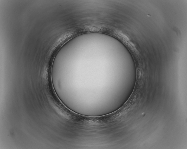 X0000112110250200908251218