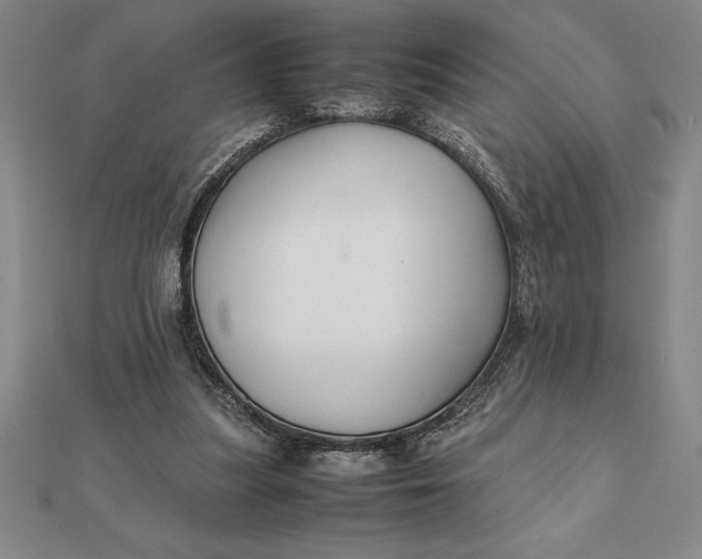 X0000112110251200908251218