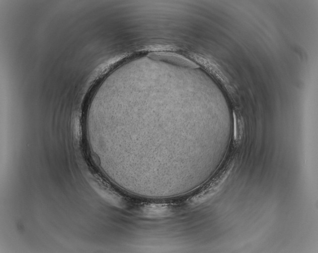 X0000112110252200908251218