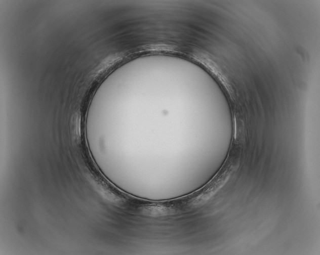 X0000112110253200908251218