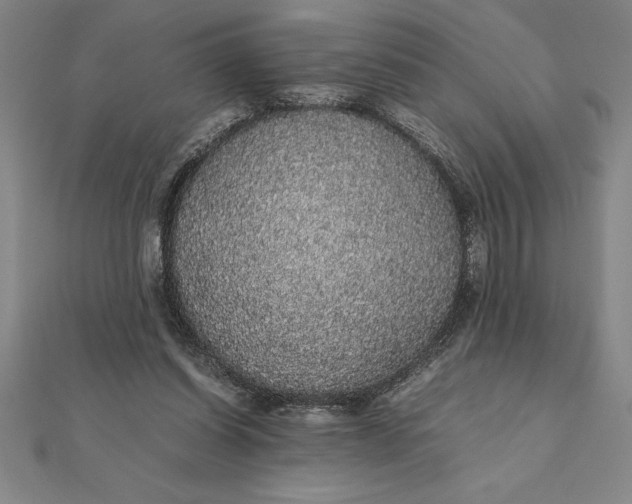 X0000112110254200908251218