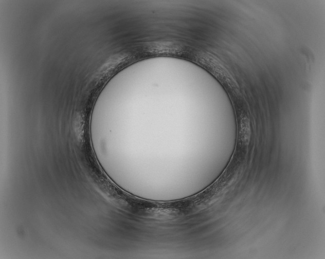 X0000112110255200908251218