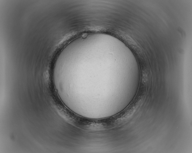 X0000112110256200908251218