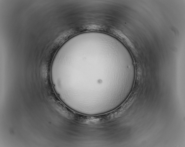 X0000112110257200908251218