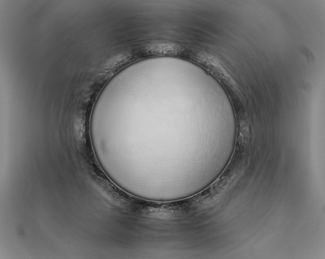 X0000112110259200908251218