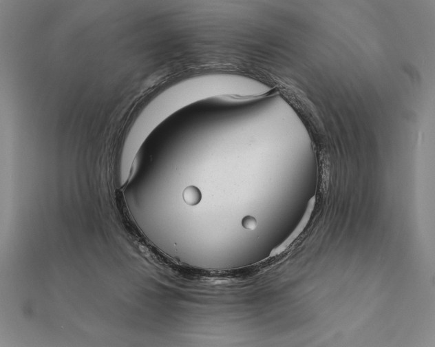 X0000112110260200908251218