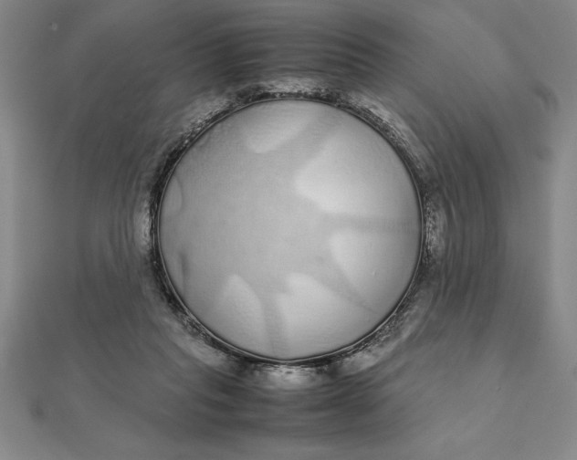 X0000112110261200908251218