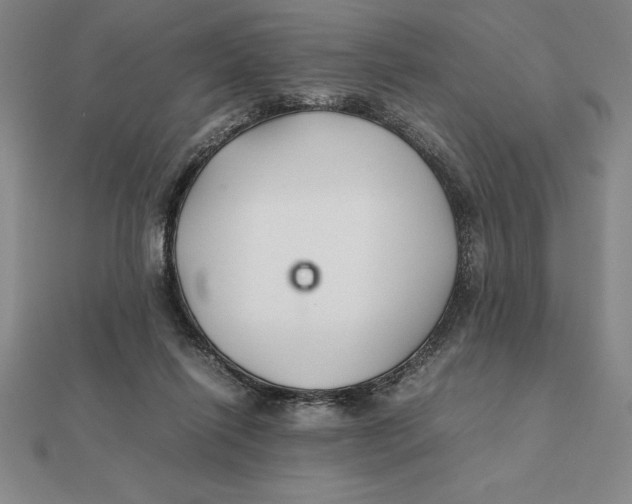 X0000112110262200908251218