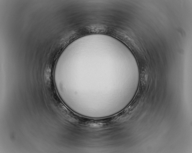 X0000112110263200908251218