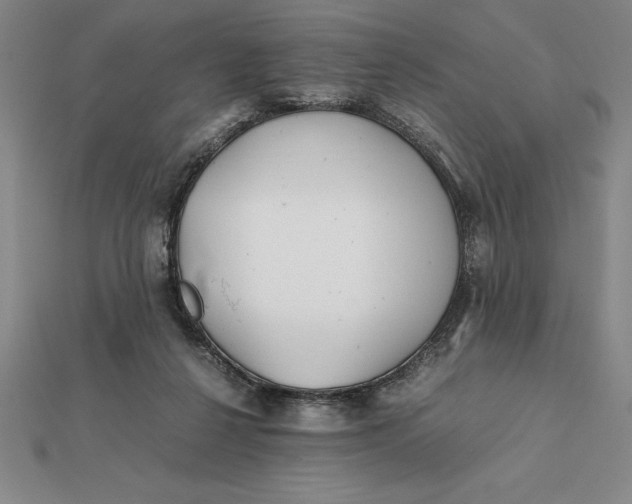 X0000112110264200908251218