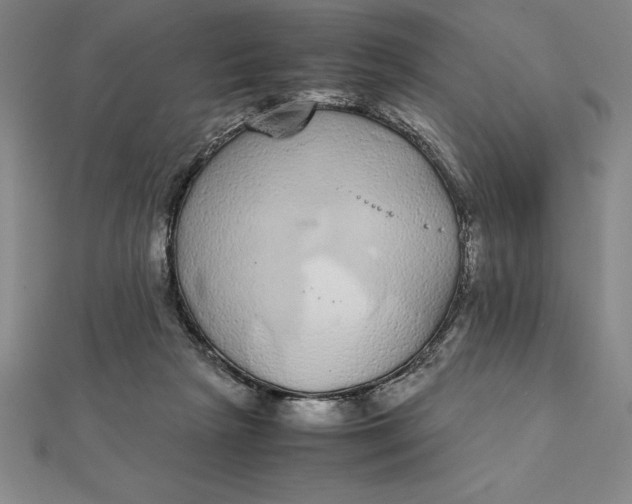 X0000112110265200908251218