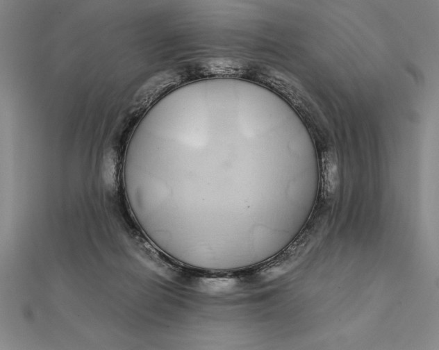 X0000112110266200908251218