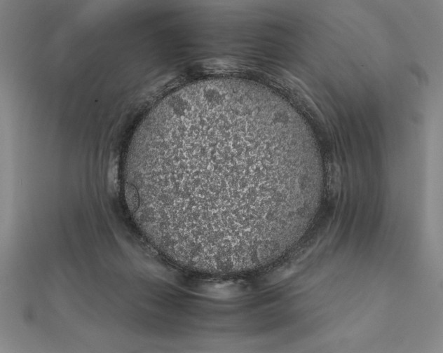 X0000112110267200908251218