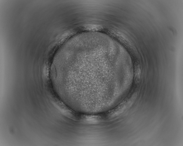 X0000112110268200908251218