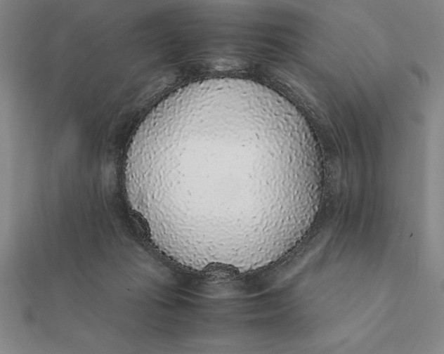 X0000112110269200908251218