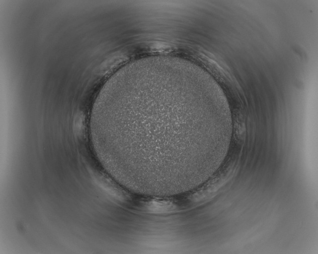 X0000112110270200908251218