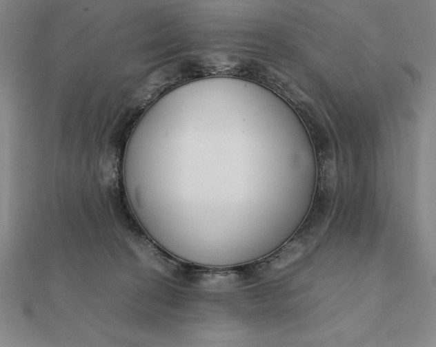 X0000112110274200908251218