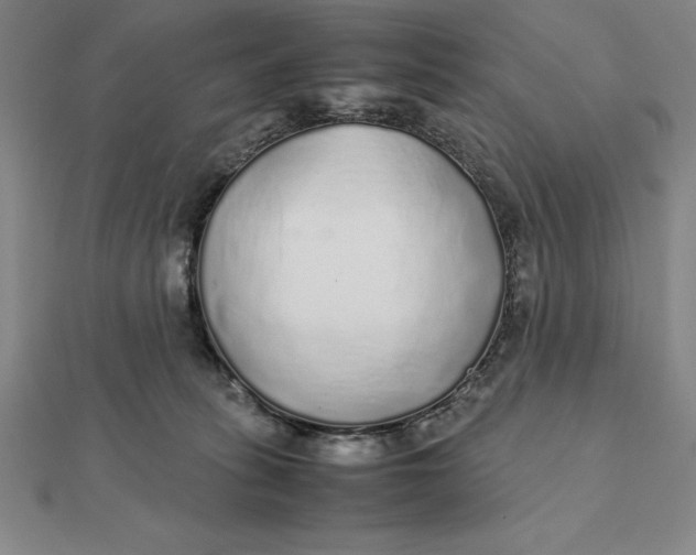 X0000112110275200908251218