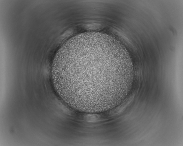 X0000112110277200908251218