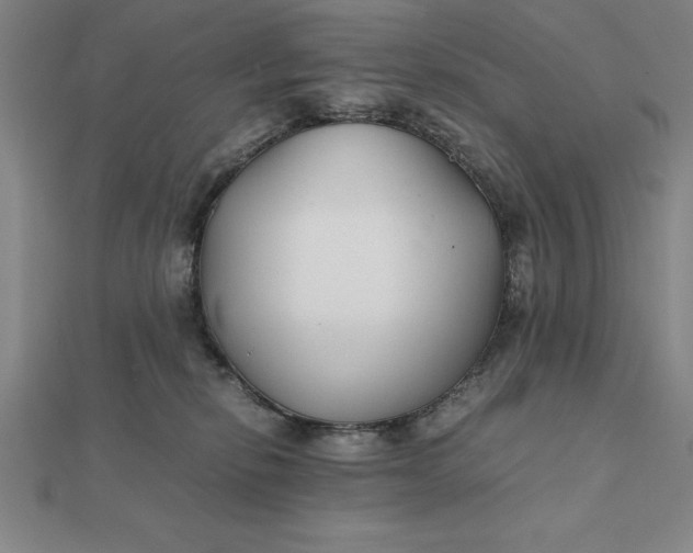 X0000112110278200908251218