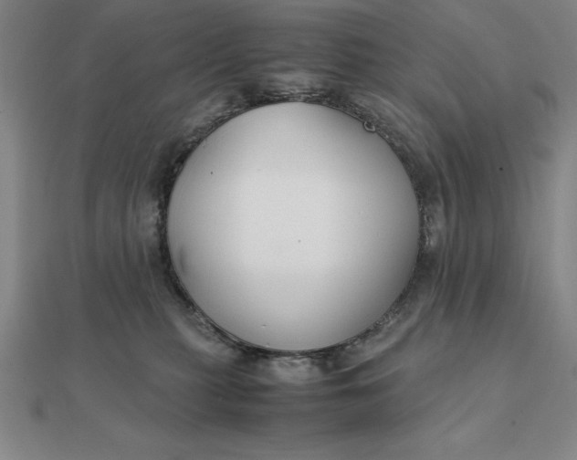 X0000112110279200908251218