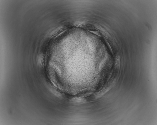 X0000112110280200908251218