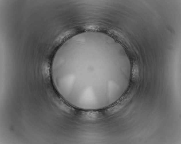 X0000112110282200908251218