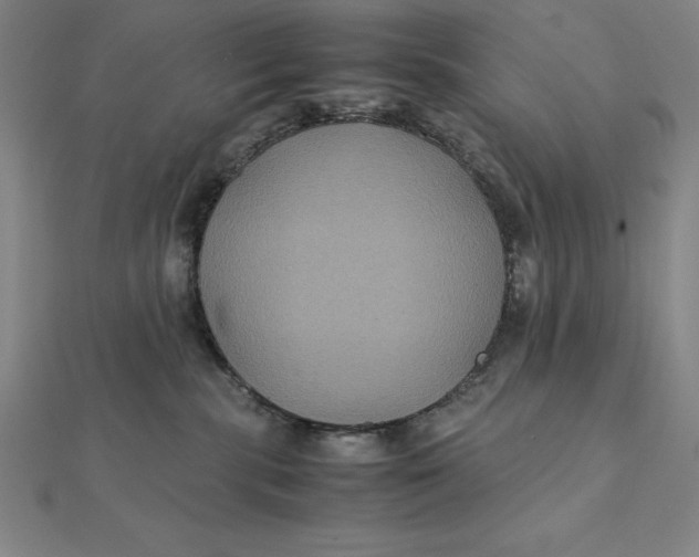 X0000112110283200908251218