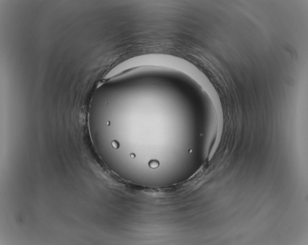 X0000112110284200908251218