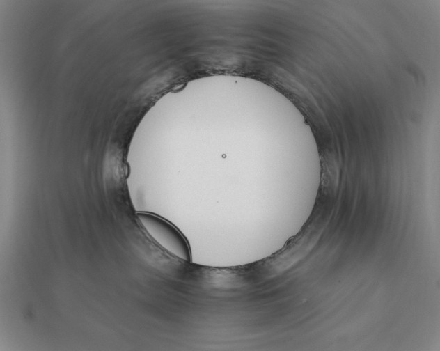 X0000112110287200908251218