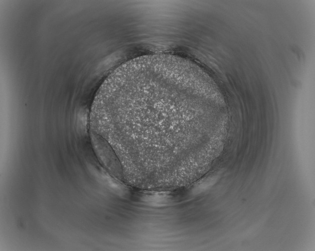 X0000112110288200908251218