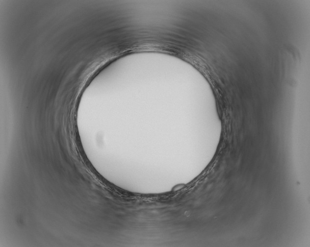 X0000112110289200908251217